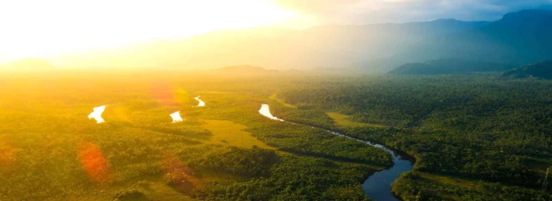 Blog & Guías de Viaje al Amazonas