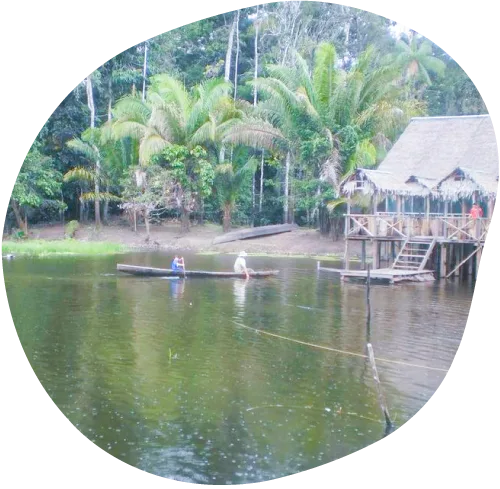 Día 2 - Plan Selva y Río