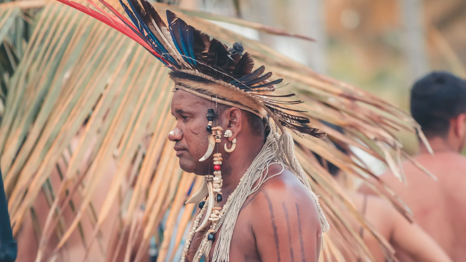 Live an experience with the Colombian Tribes