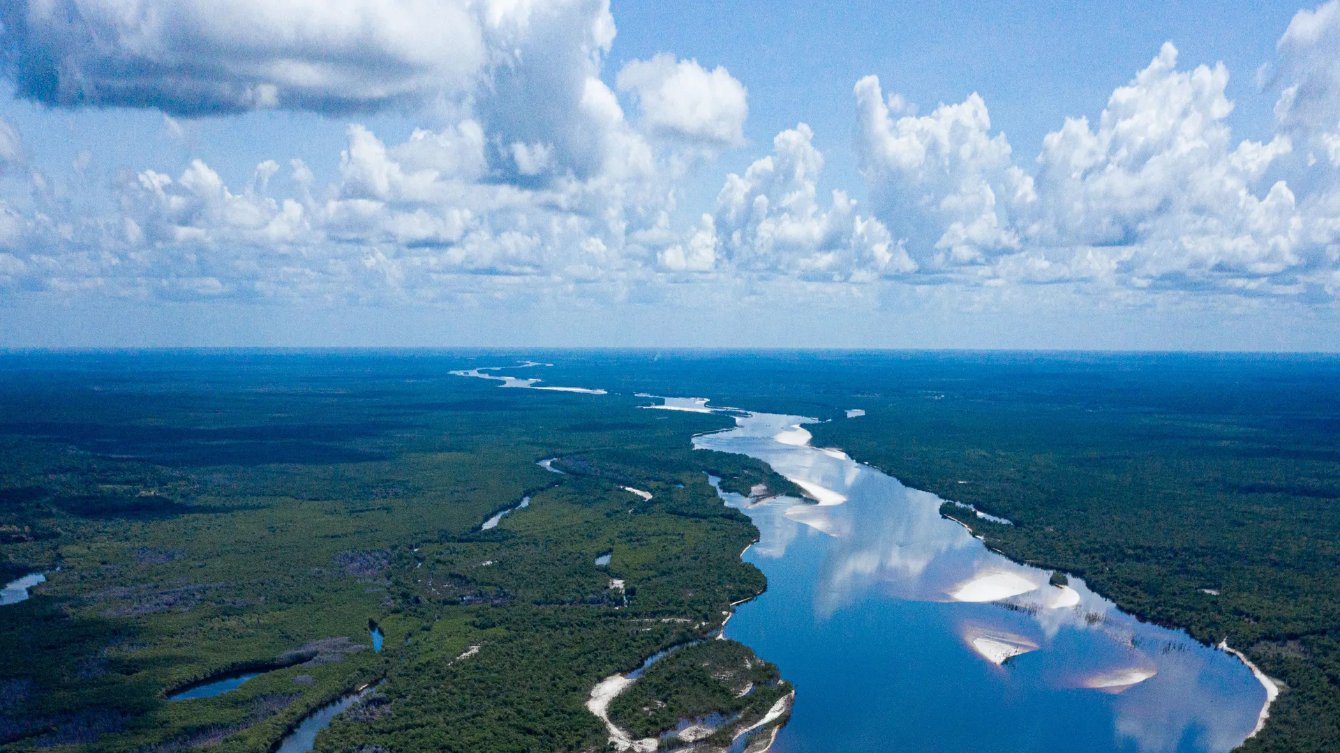 ¡Protejamos el río Amazonas!