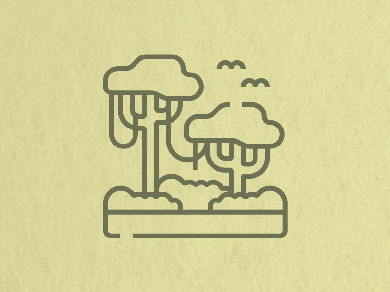 Jungle and River Plan