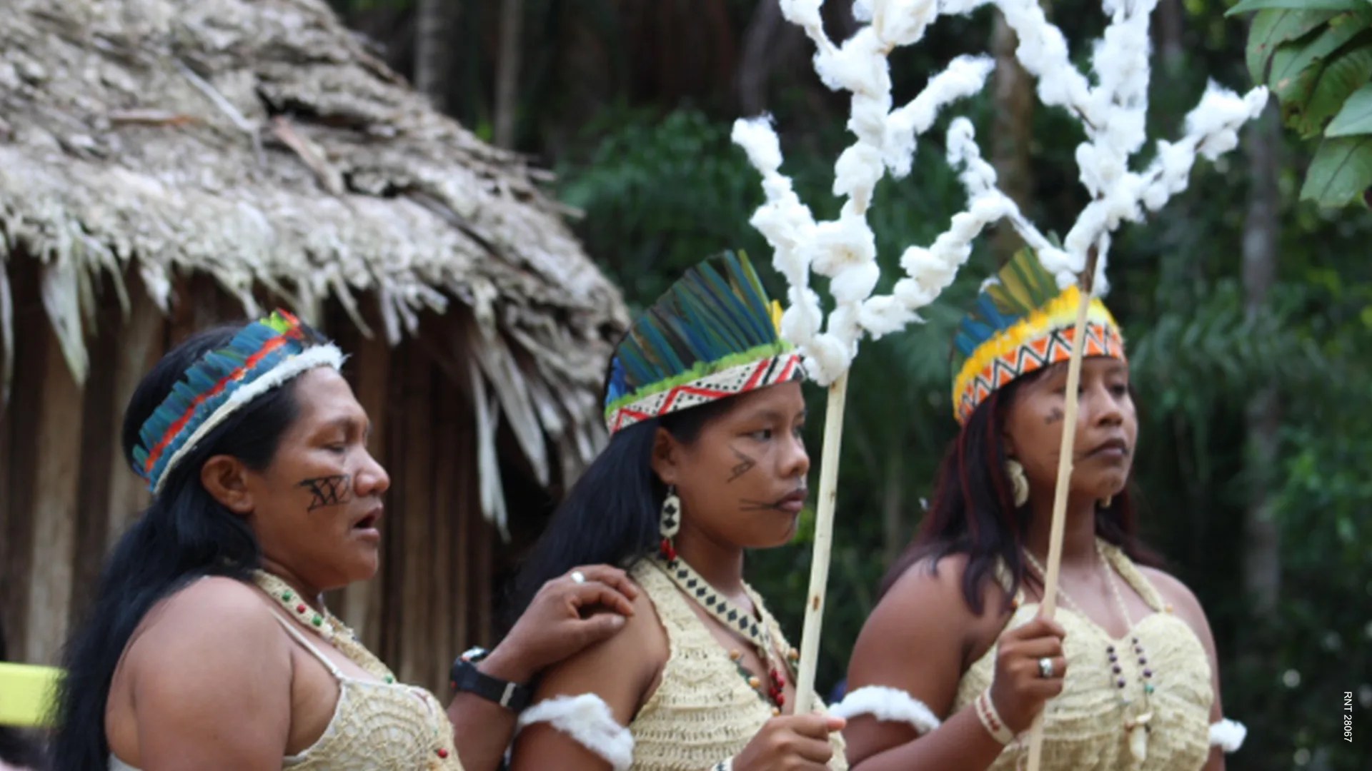 Indigenous woman from the Colombian Amazon