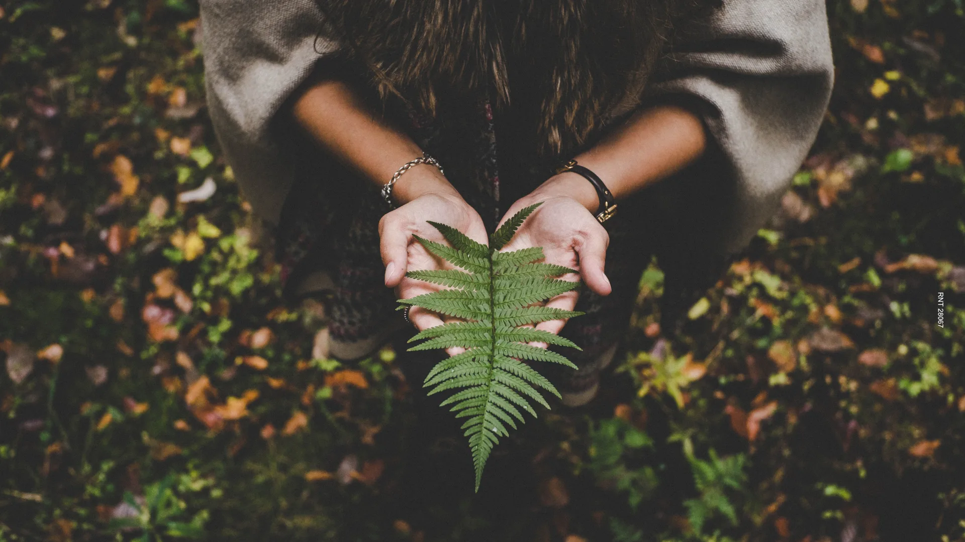 The importance of environmental awareness in the Amazon