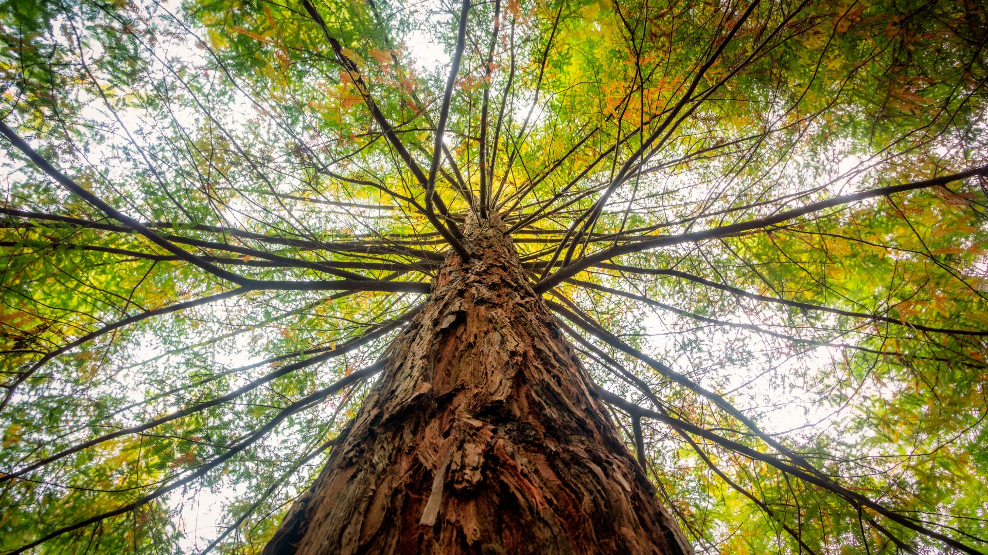 How climate change will affect Tourism in the Amazon Colombia