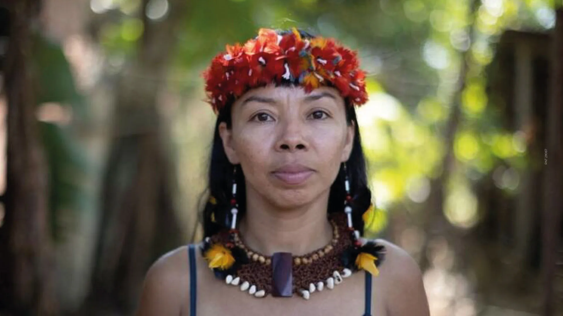 Arte y Tradición Ancestral del Amazonas Colombia