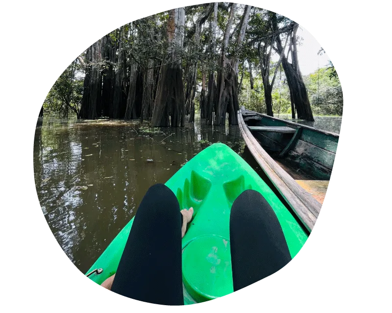 Photo Canopy + Kayak Tour