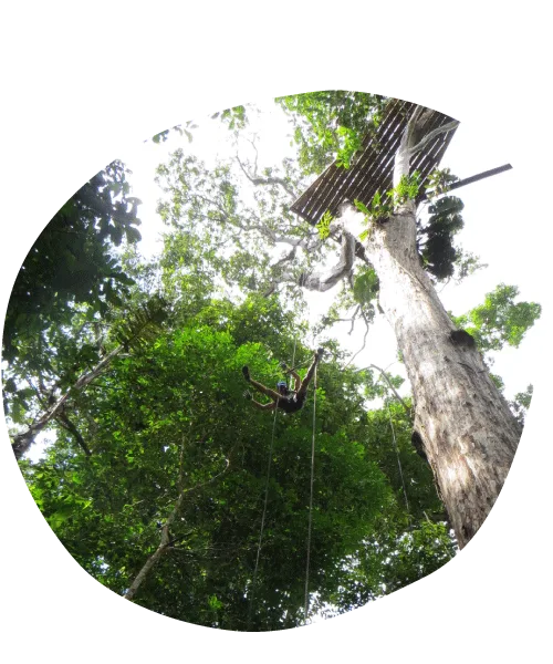 Tour Canopy actividad extrema – Sendero nocturno