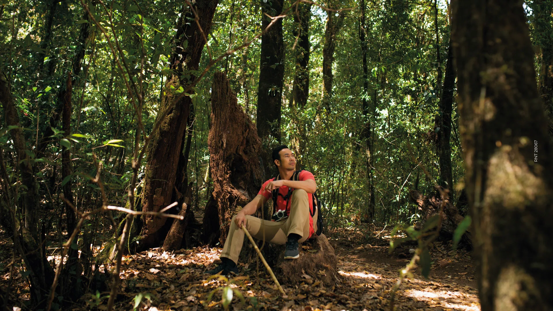 Responsible ecotourism in the Amazon Colombia