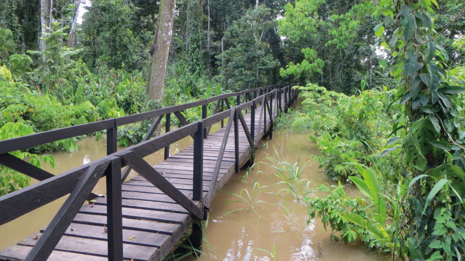 Misterios del Río Amazonas Colombia