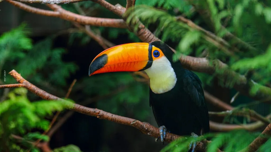 Amazon: A trip you’ll remember forever