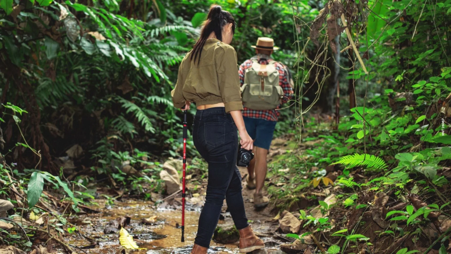 La guía definitiva del ecoturismo en el Amazonas
